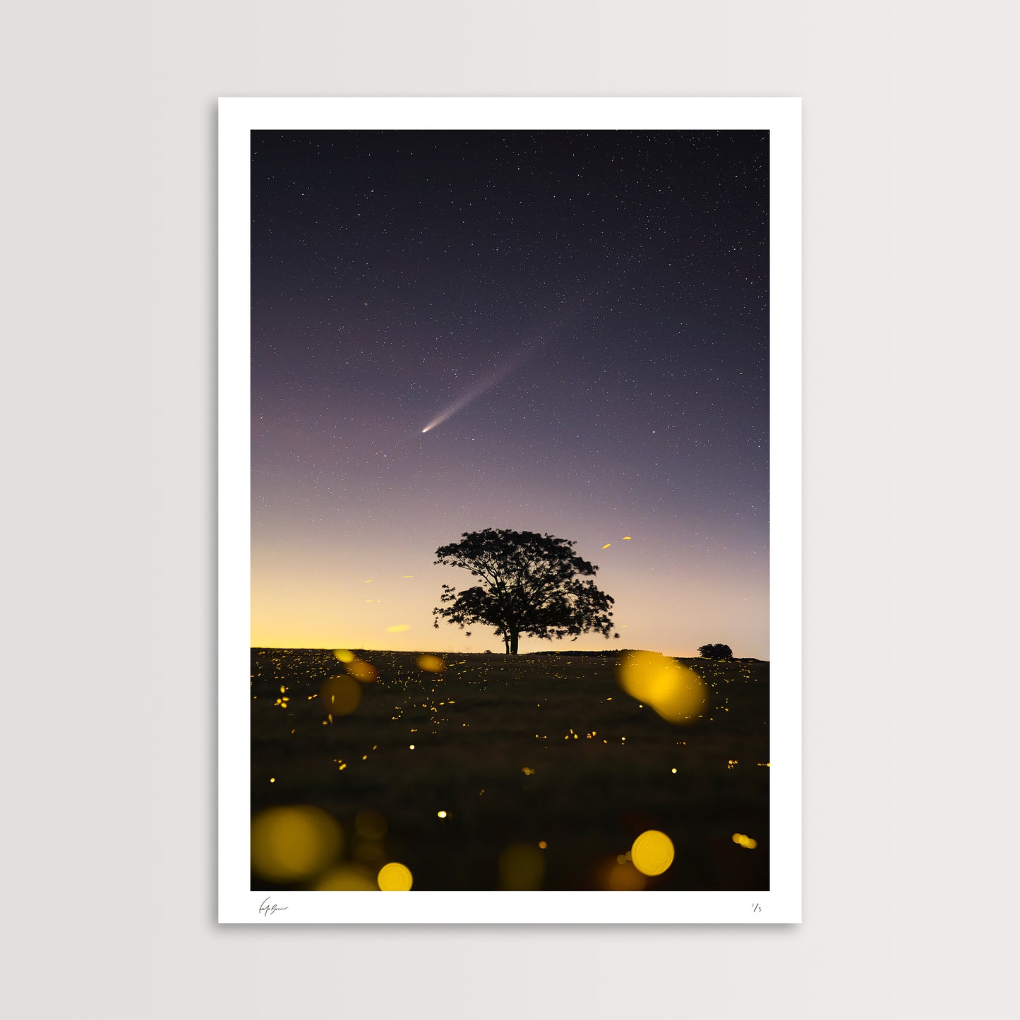 Comet Over a Field of Fireflies