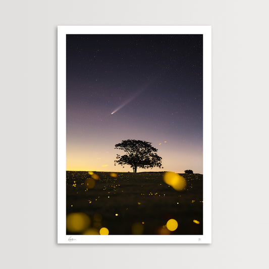 Comet Over a Field of Fireflies