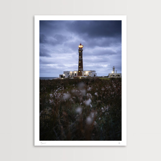 White Blooms and Lighthouse