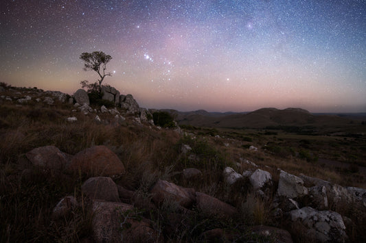 Las estrellas